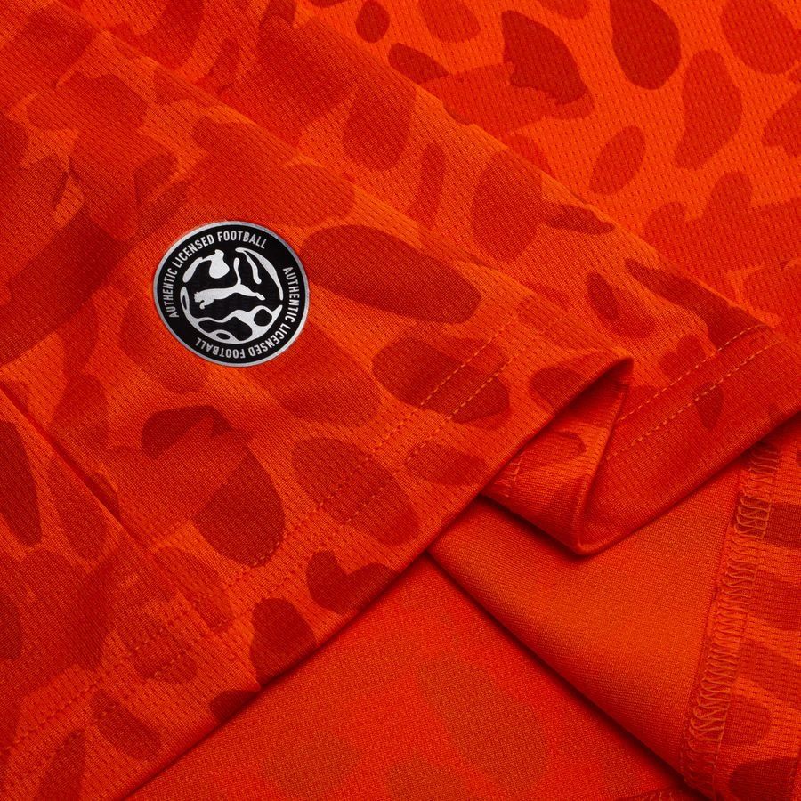 CÔTE D'IVOIRE MAILLOT DOMICILE COUPE DU MONDE 2026