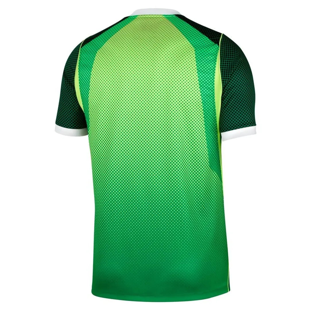 Nigeria 2026 Stadium Domicile